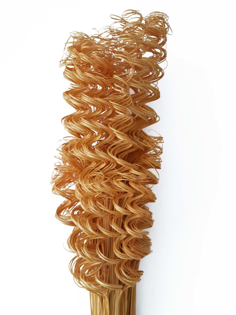 Twisted tamboo giallo