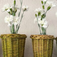 Cestino in vimini verde  ø 11 cm -  h 13 cm