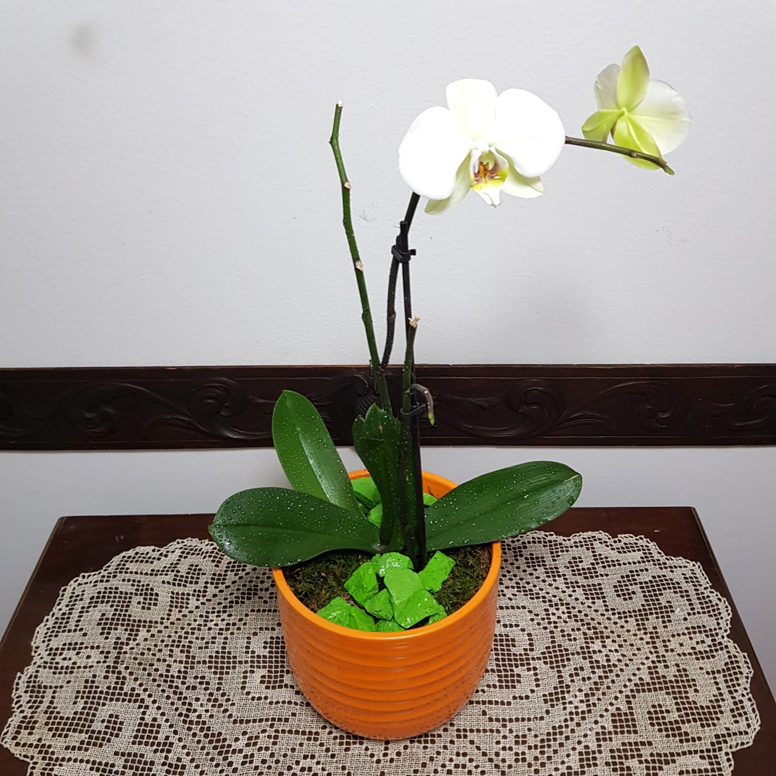 sassi decorativi verdi