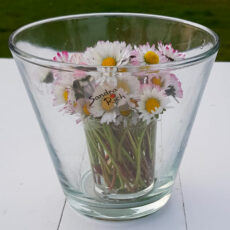 Vaso in vetro conical Sandra Rich - misure assortite