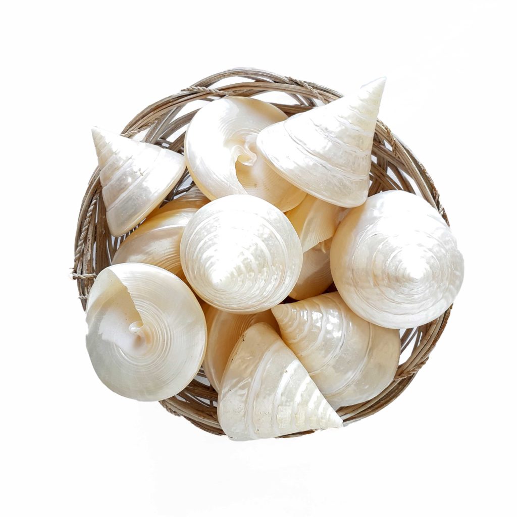 Cestino conchiglie perlate