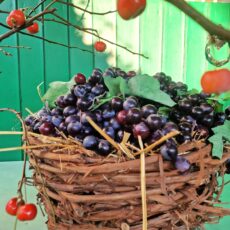 Cesto rustico grande in rami naturali intrecciati