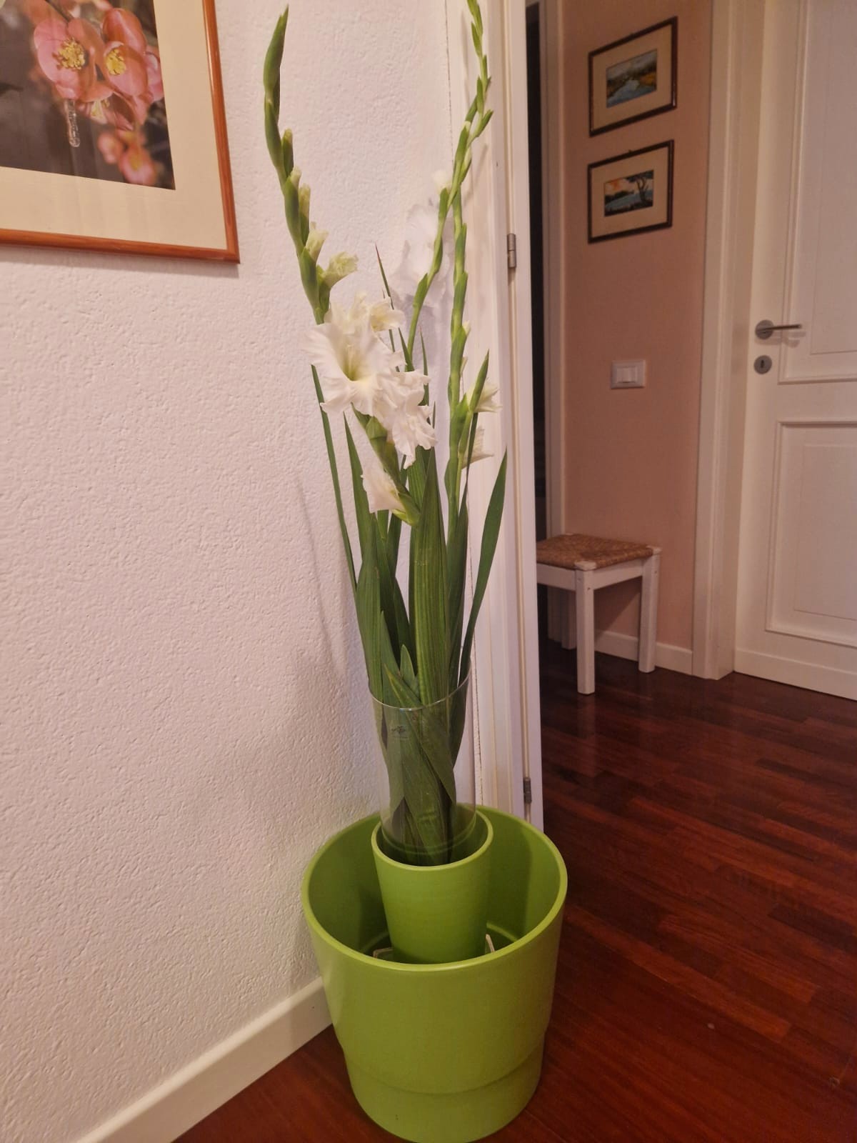 Set di vasi decorativi verdi