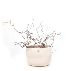 Piatti e vasi in ceramica