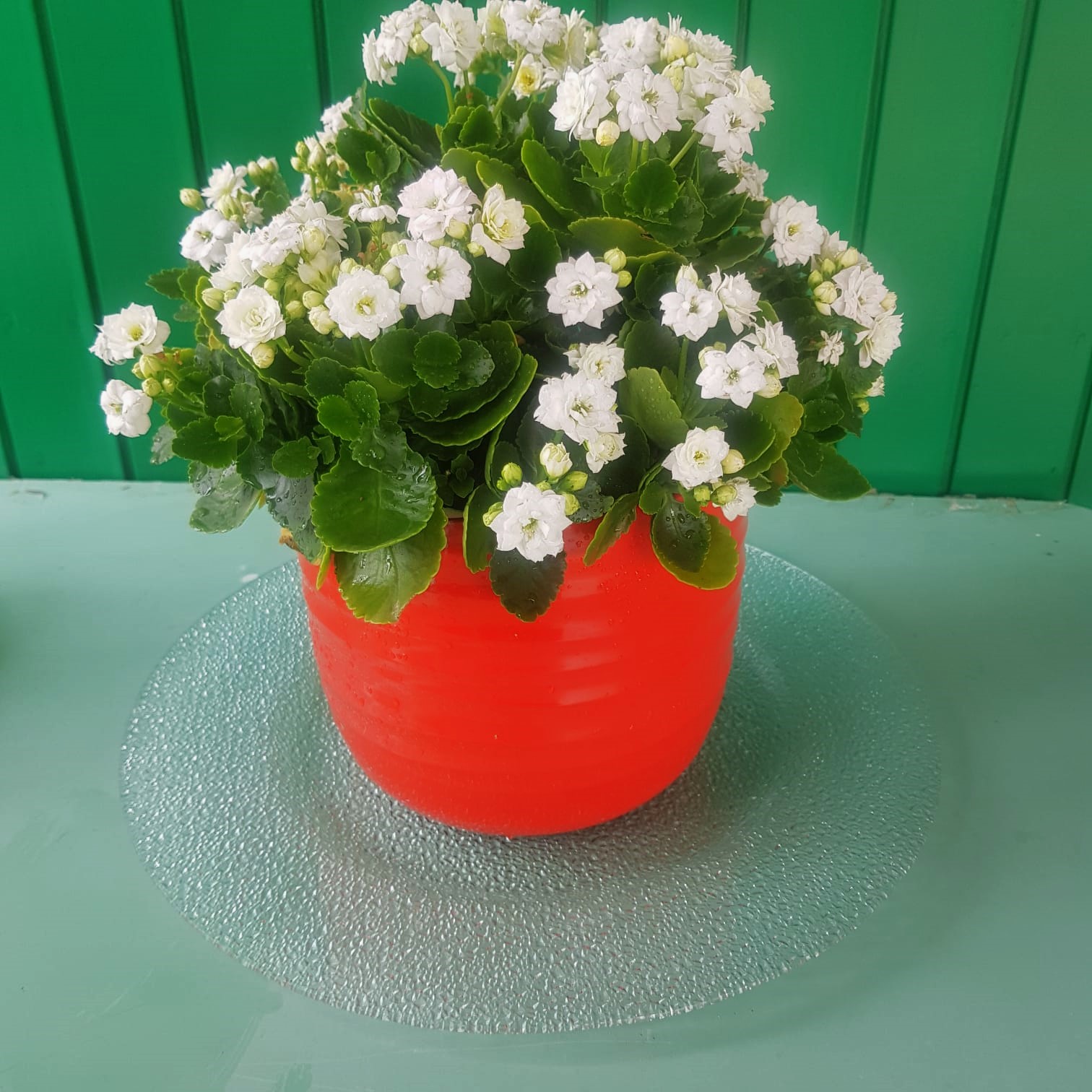 vaso in ceramica rosso corallo
