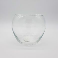 Vasi in vetro fish bowl