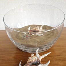 vaso vetro bowl oblique
