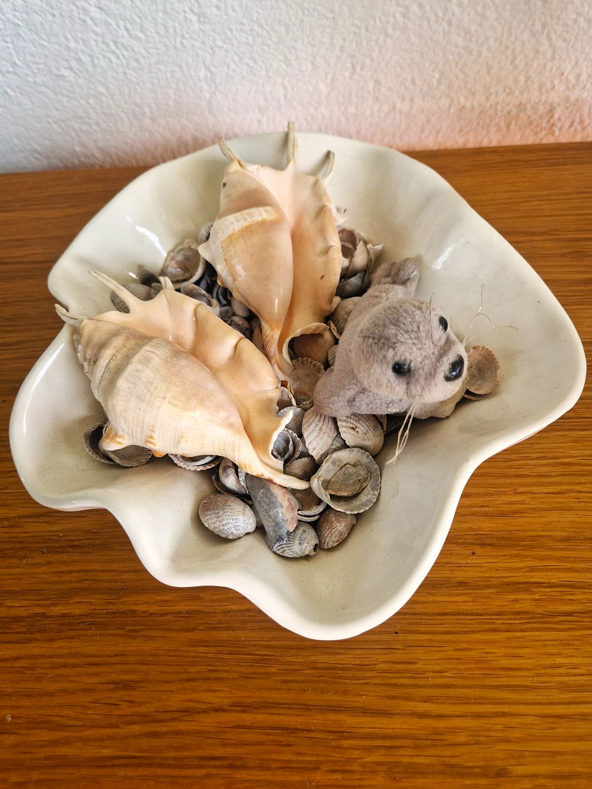 2 conchiglie 1 foca tante conchigliette