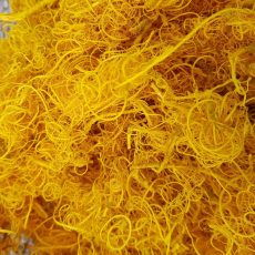 Curly moss giallo