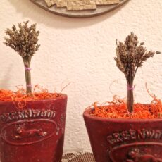 lavanda essiccata fiore piccolo 17cm