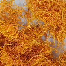 Curly moss arancione (muschio riccio)
