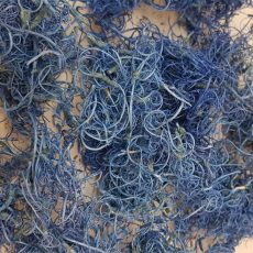 Curly moss bluette
