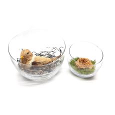 Composizione quaglia e rosa garden stabilizzata