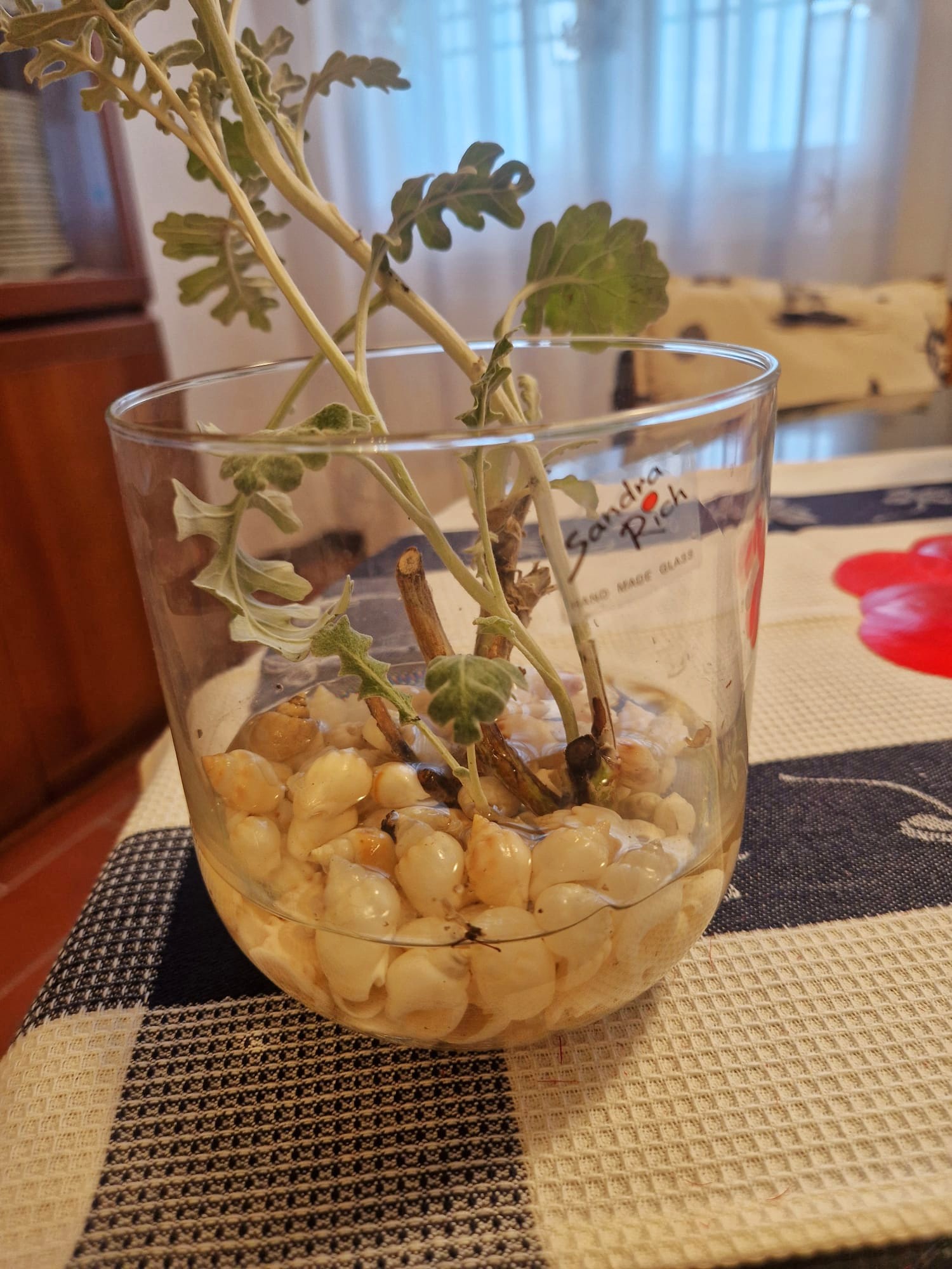 vasetto fondo arrotondato h.13,5