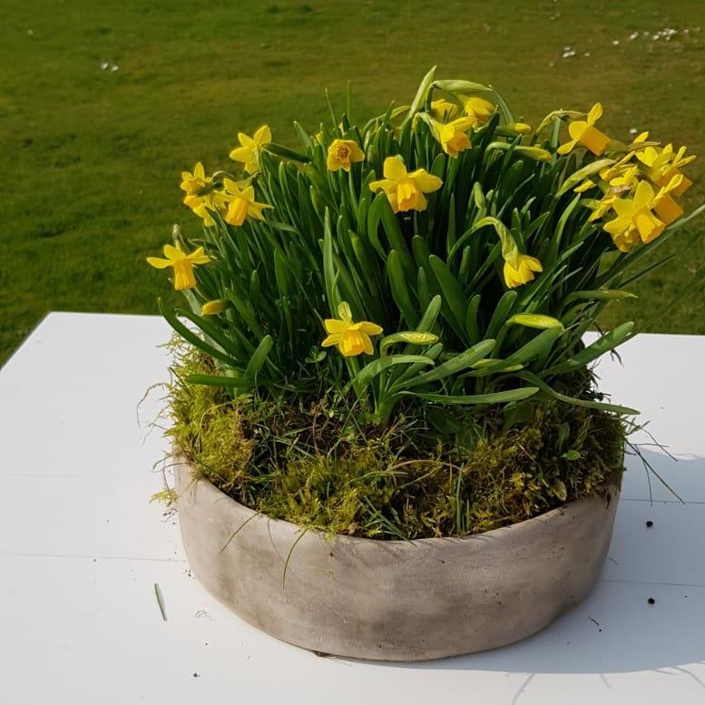 Marzo e i primi fiori - Come valorizzarli nel vaso giusto