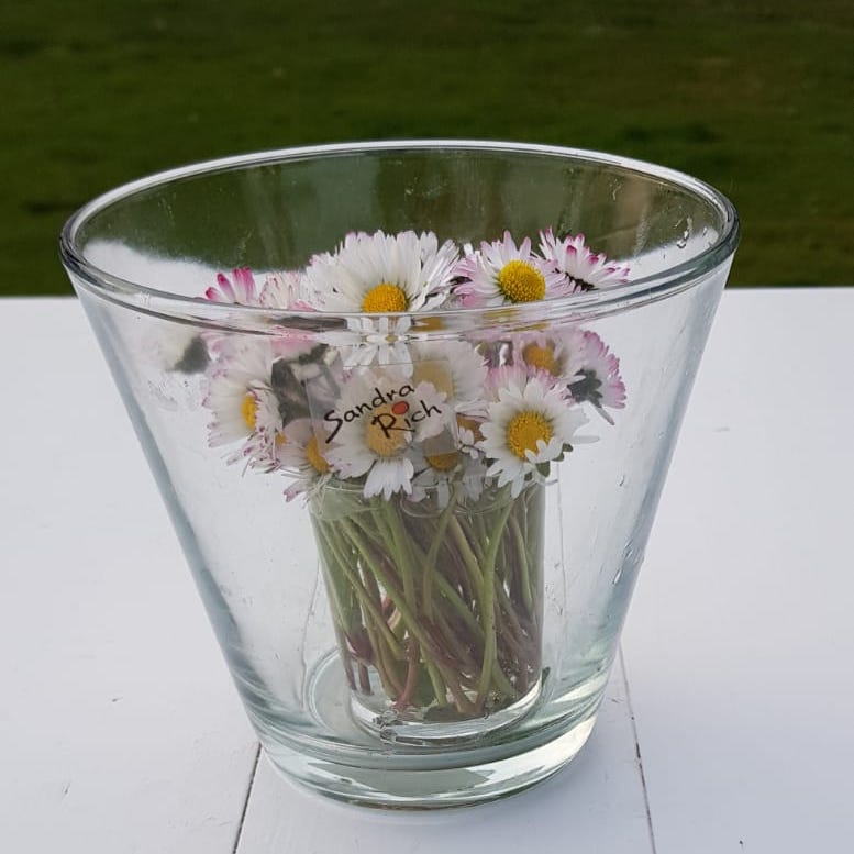 Marzo e i primi fiori - Come valorizzarli nel vaso giusto