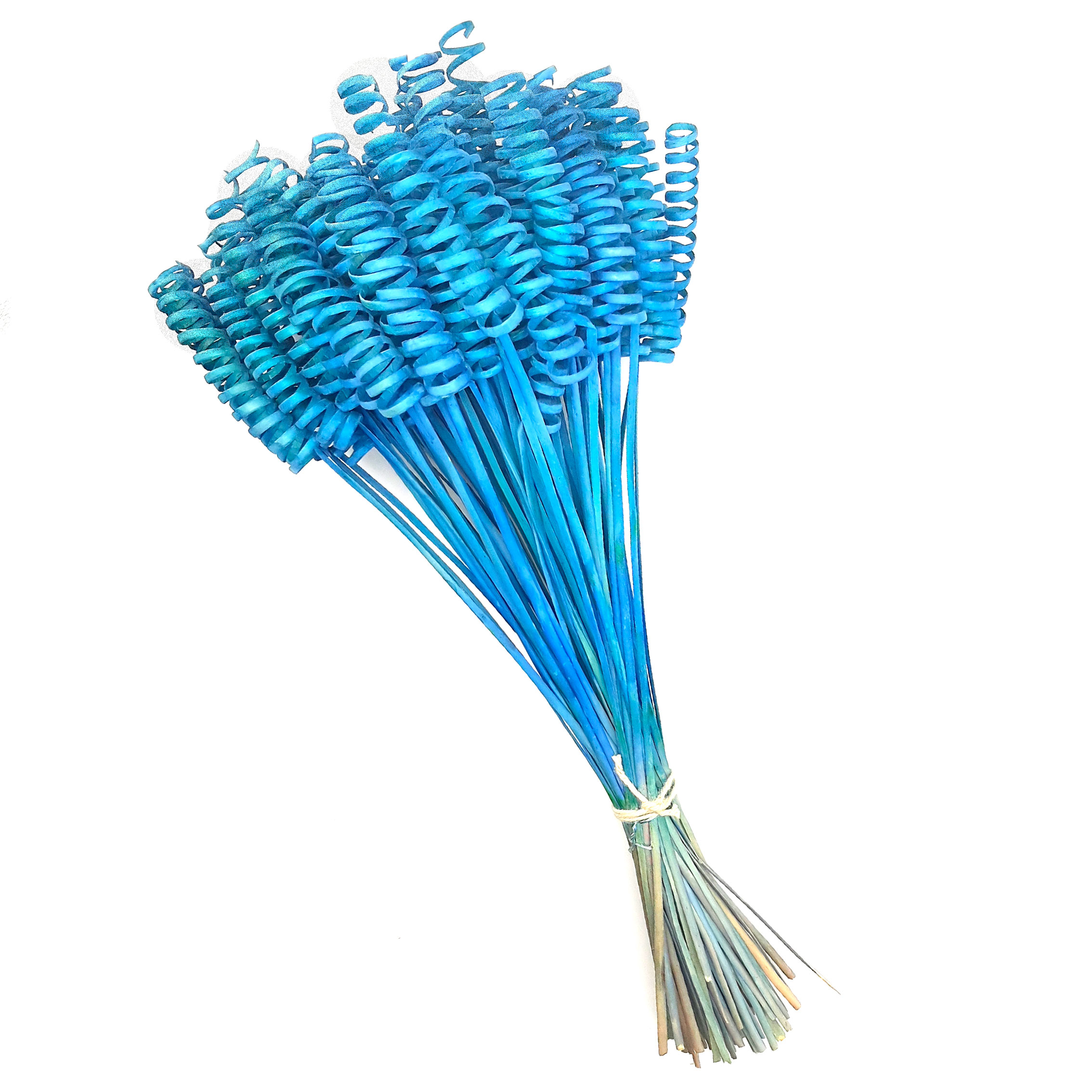 Steli legno arricciati, cane spring blu
