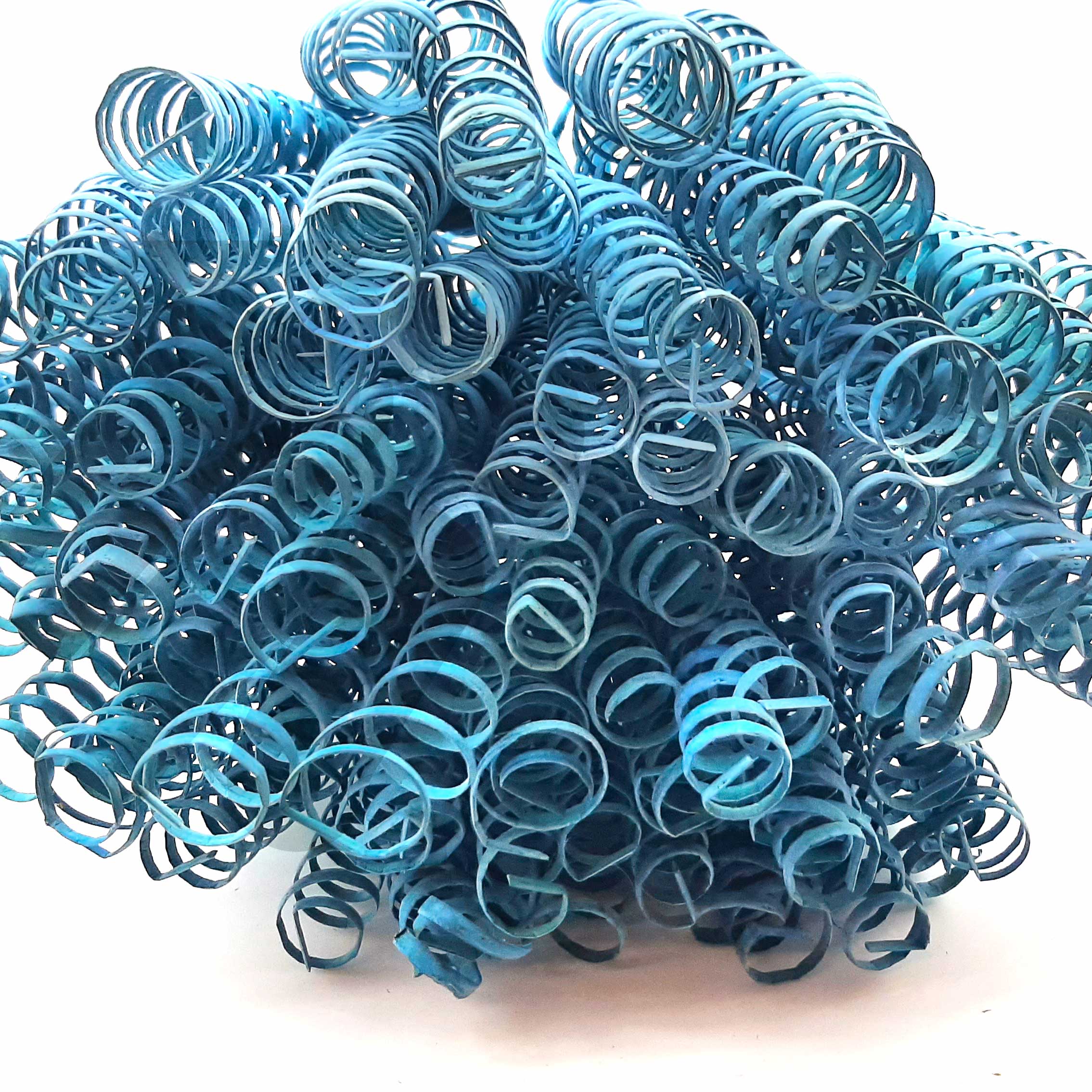 Steli legno arricciati, cane spring blu