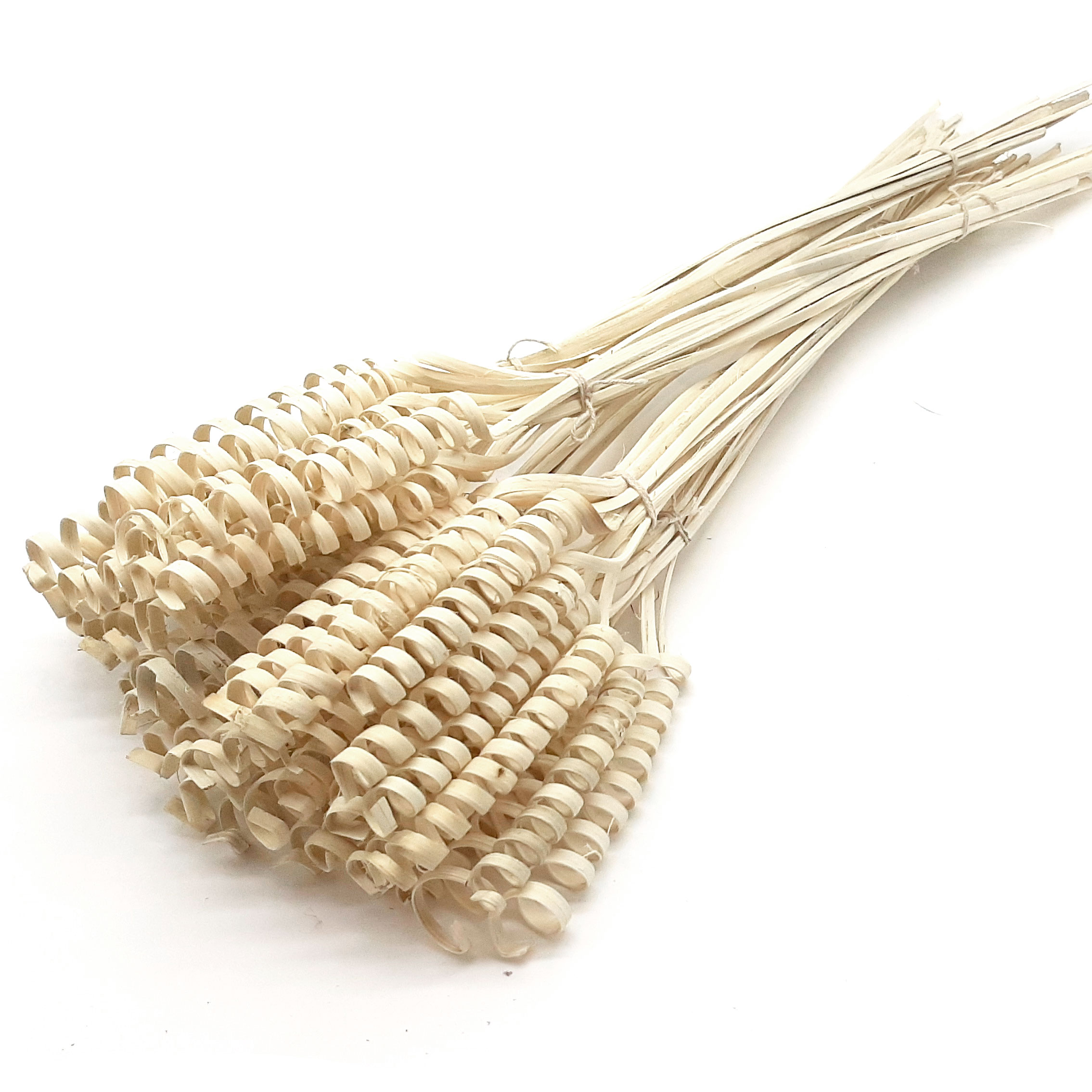 Steli legno arricciati, cane spring sbiancato