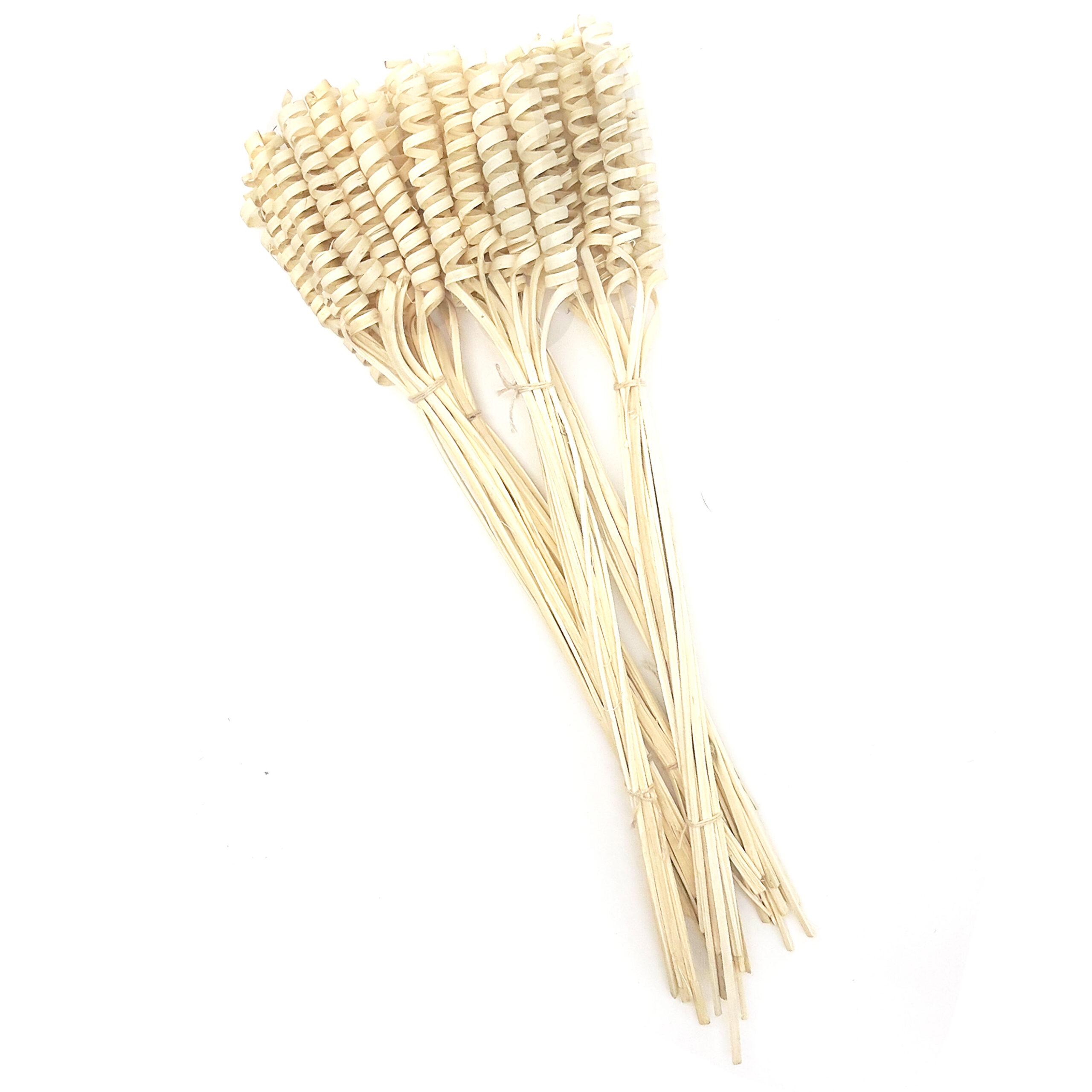 Steli legno arricciati, cane spring sbiancato