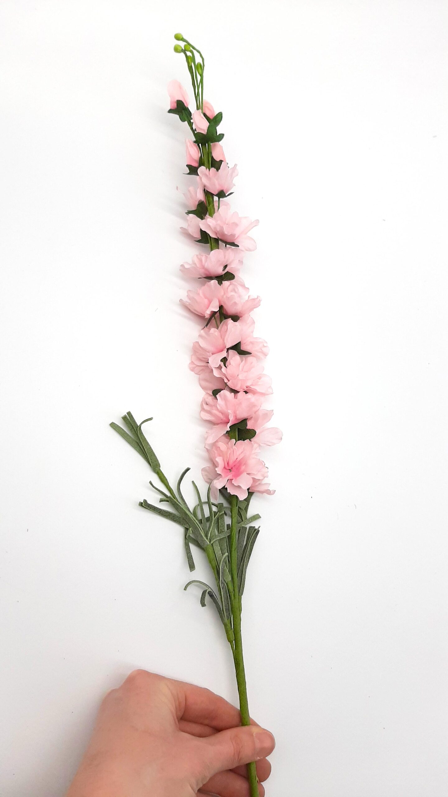Delphinium in seta - 7 steli