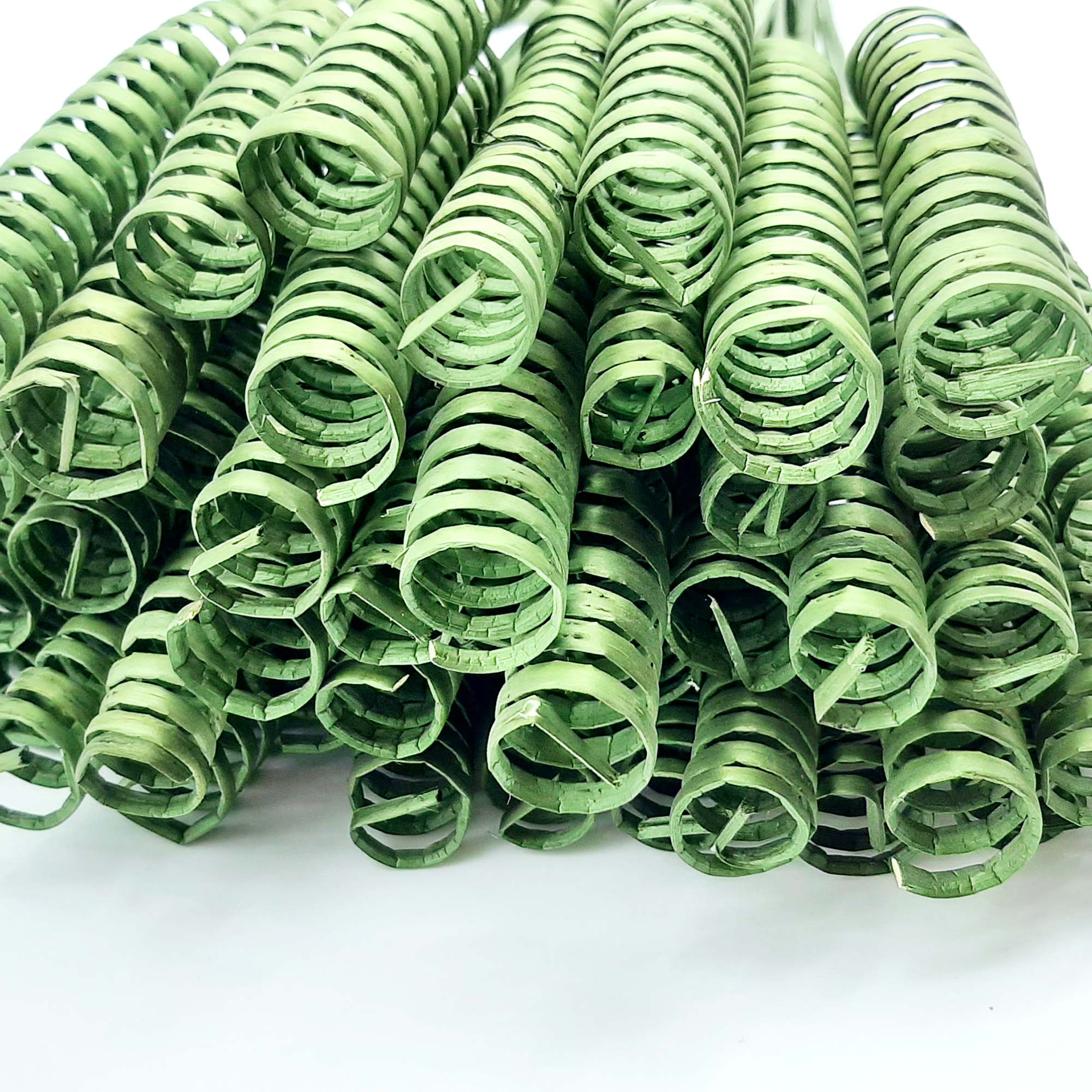 Steli legno arricciati, cane spring verde oliva