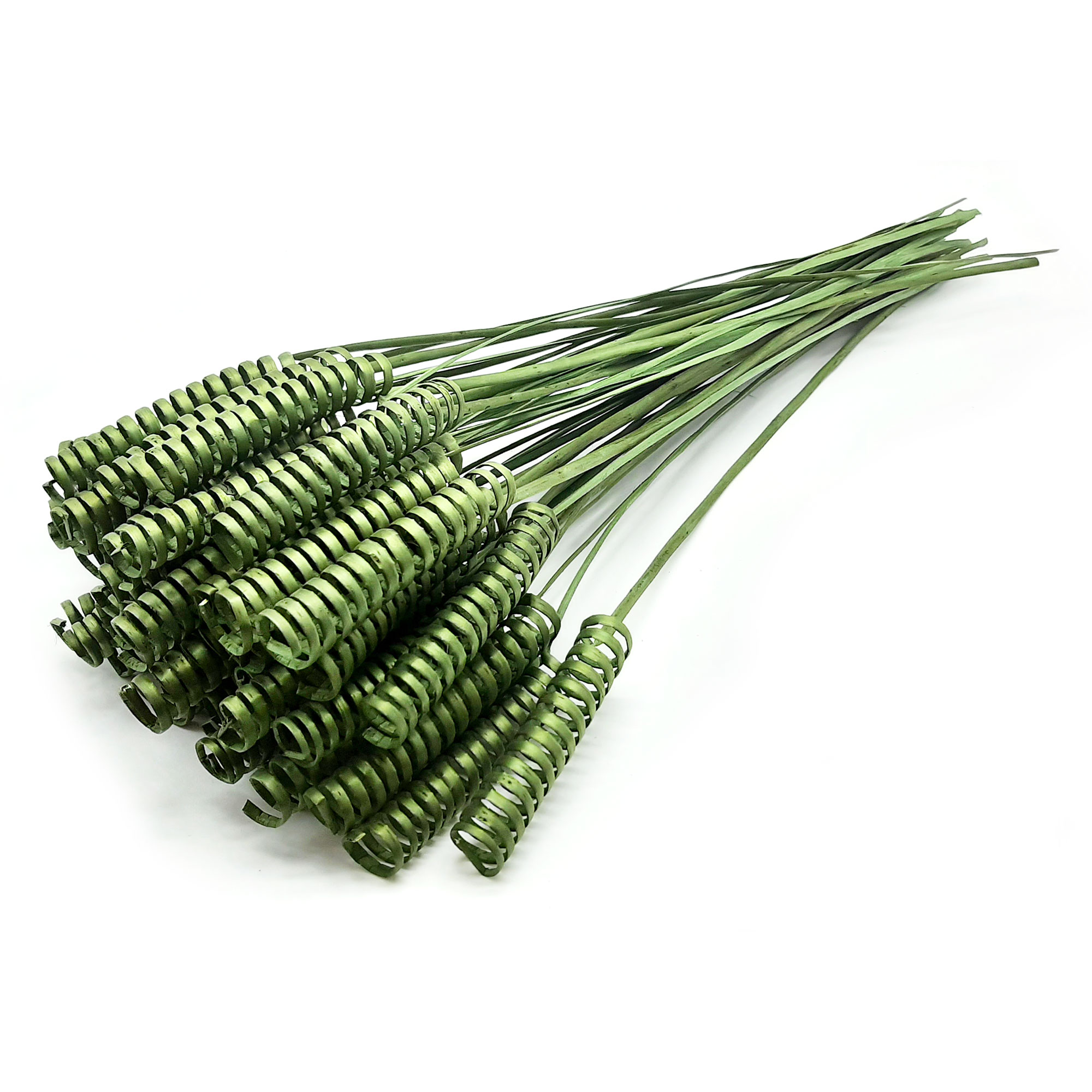 Steli legno arricciati, cane spring verde oliva
