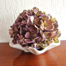 composizione ortensia secca in ciotola