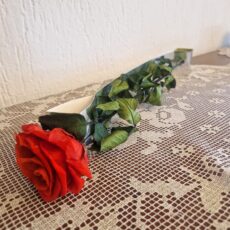 rosa stabilizzata con gambo