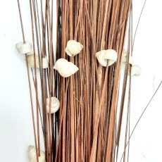 Mazzo di rami con conchiglie