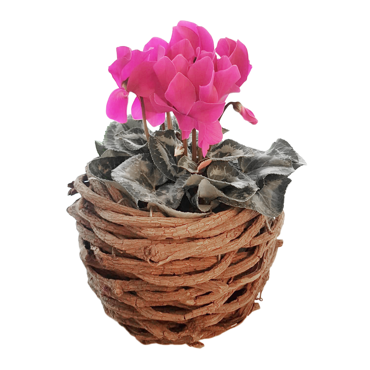 Cestino in vimini con manico - 4 misure, Shop online ceste per piante e  fiori
