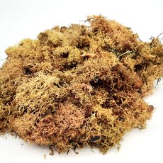 Complementi e materiali nei colori autunnali