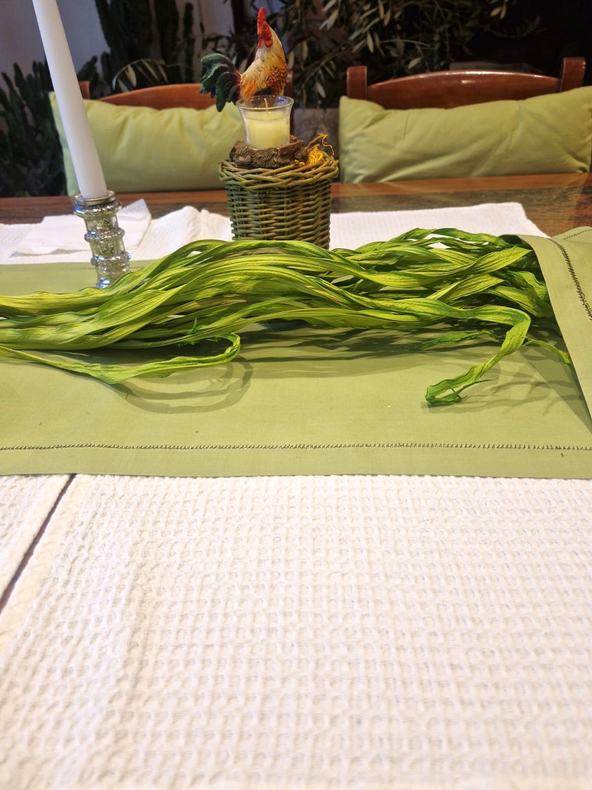 foglie di palma verde a