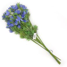Mazzi, rami, fiori secchi adatti a decori estivi