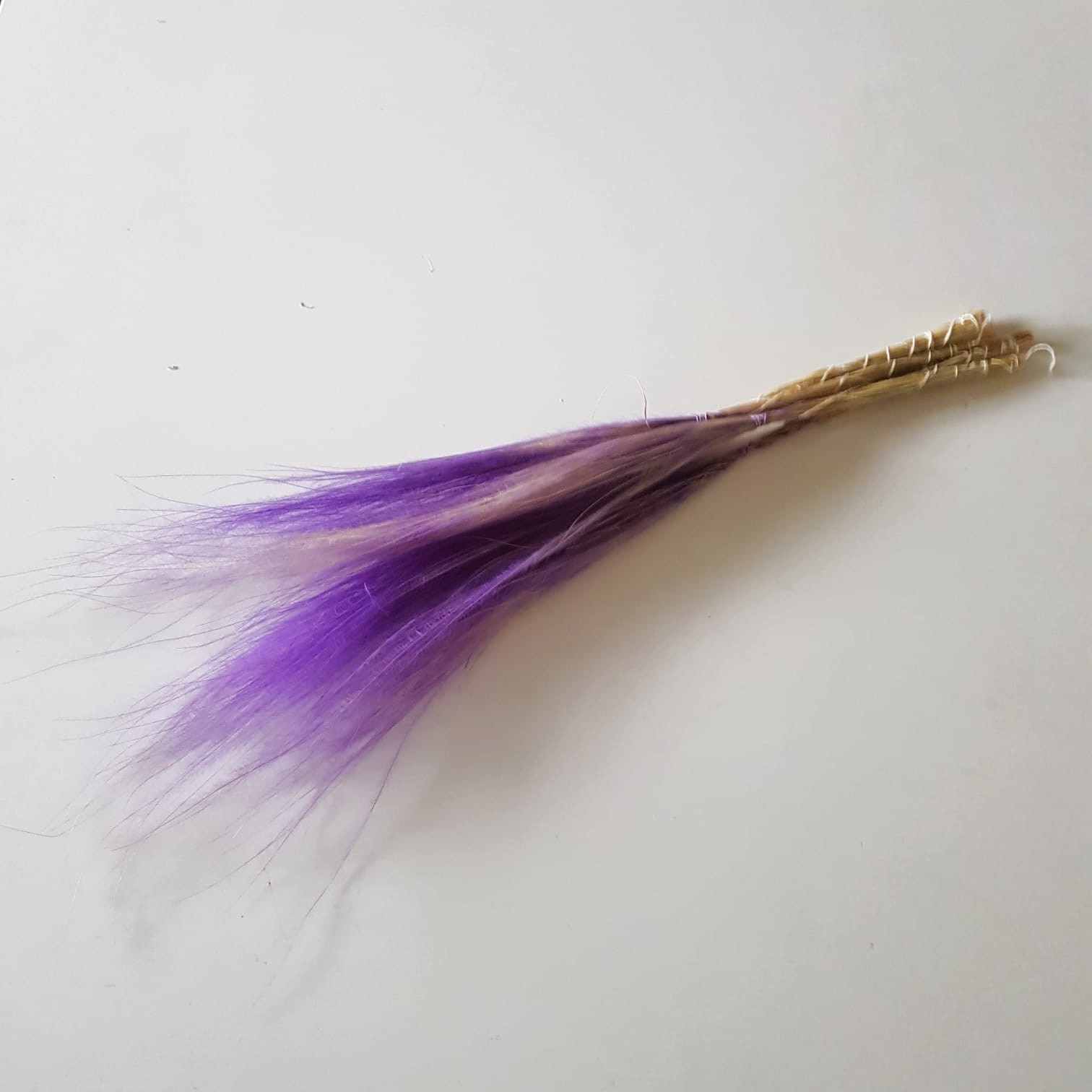 Stypha Penata - 2 colori - immagine 4