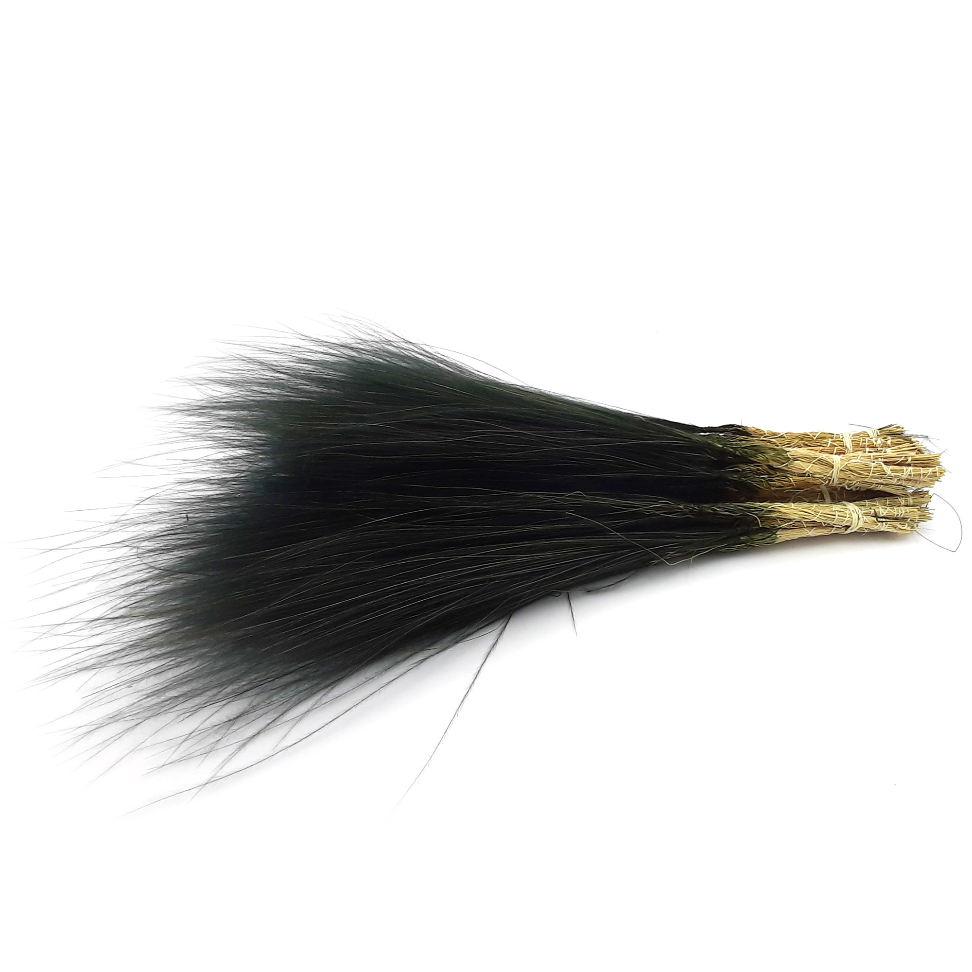 Stypha Penata - 45 cm