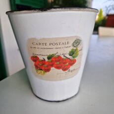 vasetti latta con fragole stampate