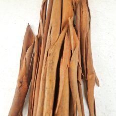 corteccia di eucalipto