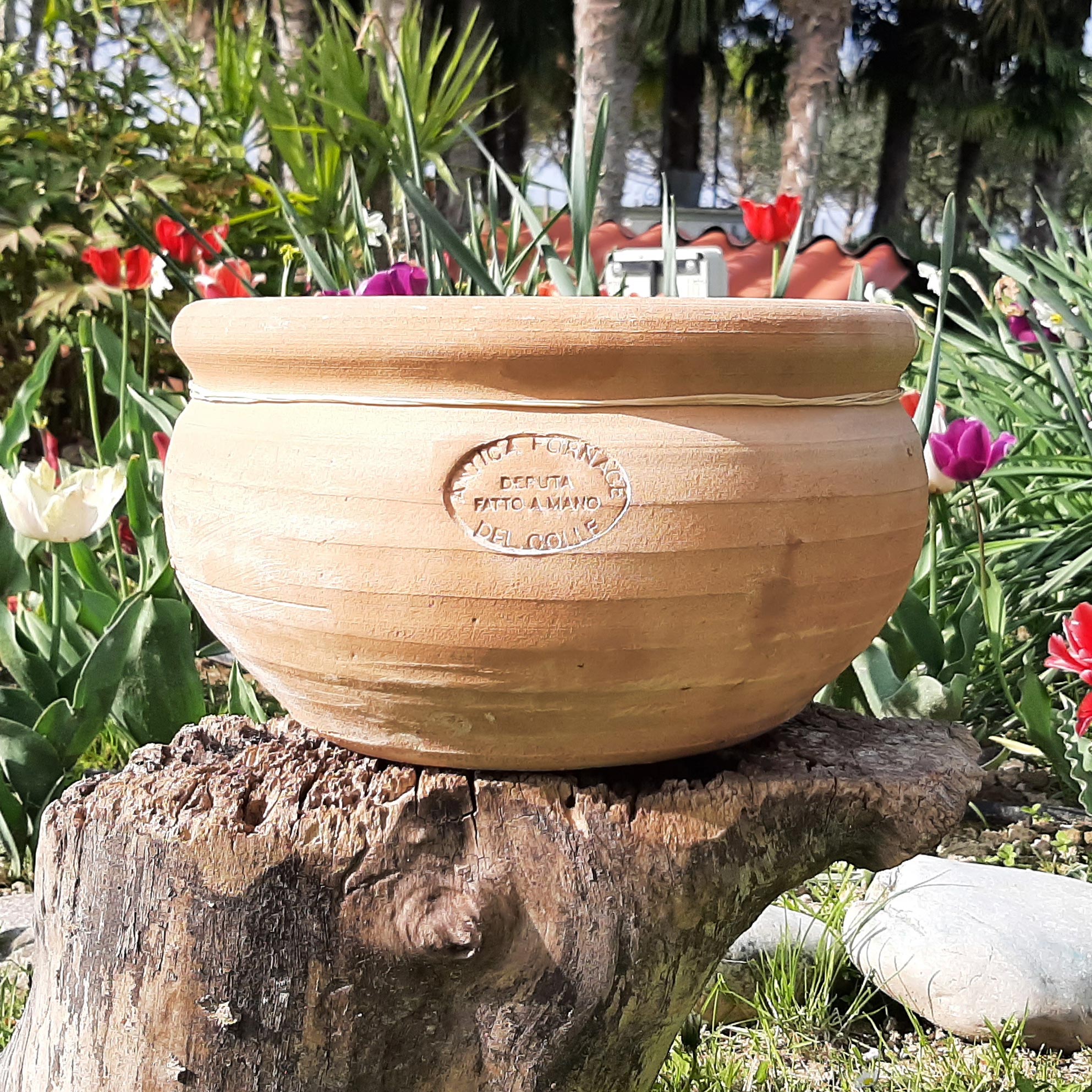 Vaso in terracotta - Ø 28 cm, shop online vasi piante e fiori