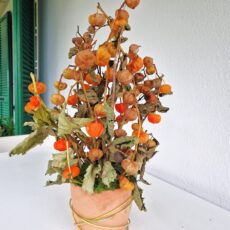 Composizione naturale con physalis essiccata (lanterne cinesi) in vaso di terracotta