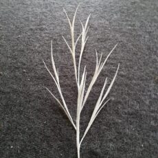 ramo decorativo con foglie lanceolate glitter