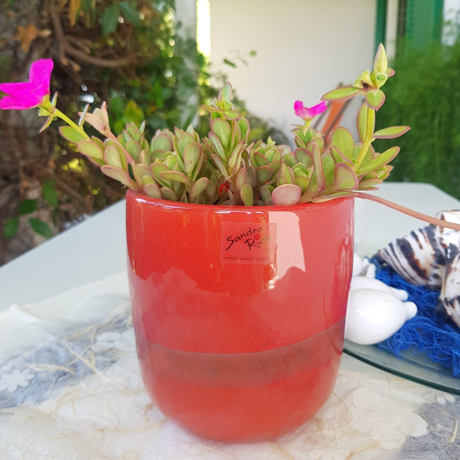 vaso in vetro orchidea