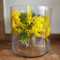 vaso in vetro cilindrico h.30 cm