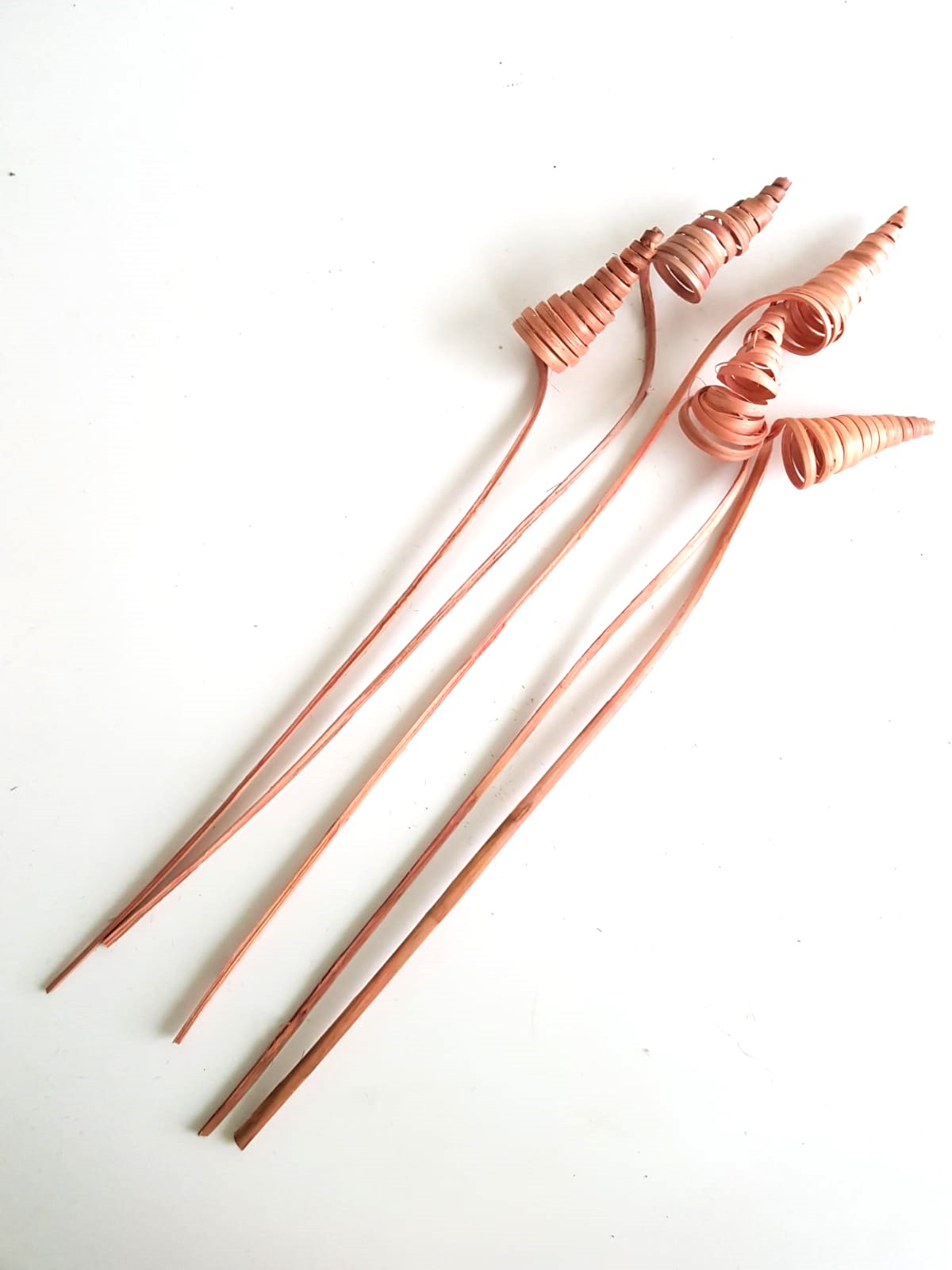 Torciglioni color salmone - 46 cm - 5 steli - immagine 2
