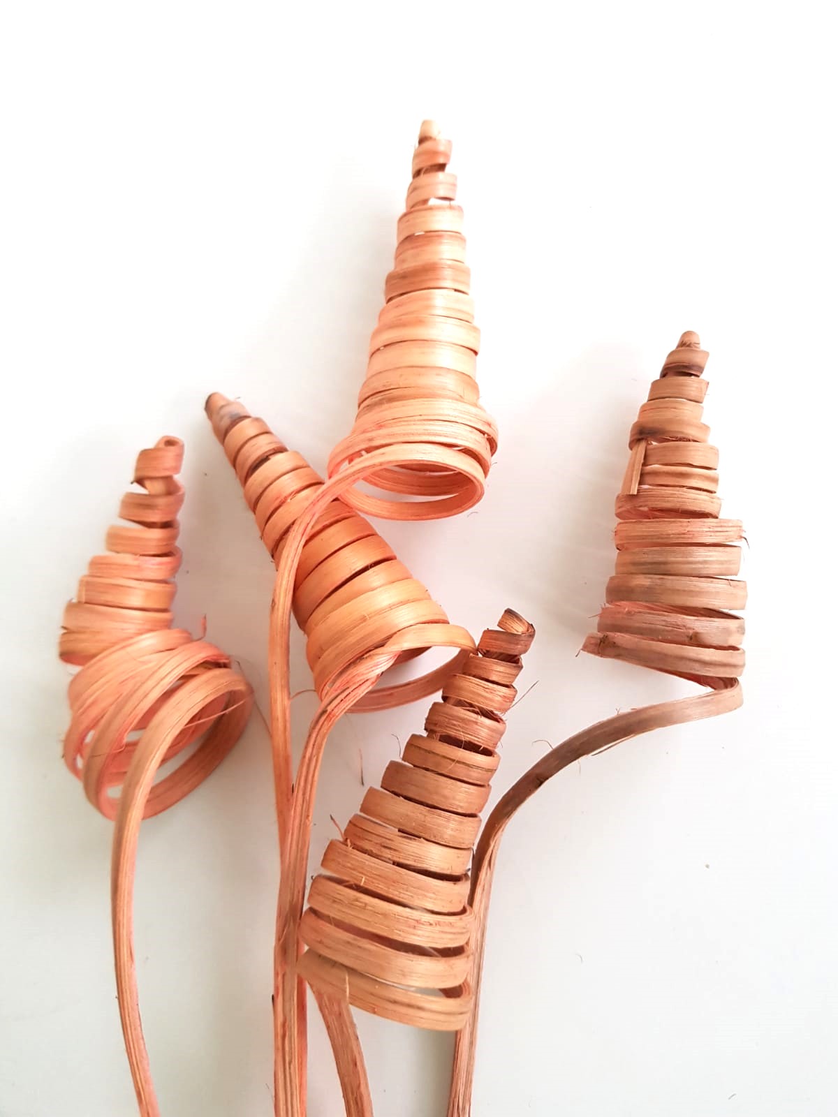 torciglioni color salmone