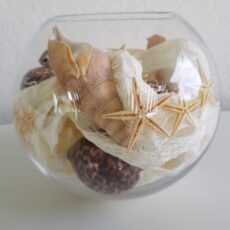 composizione pronte - boule in vetro con conchiglie