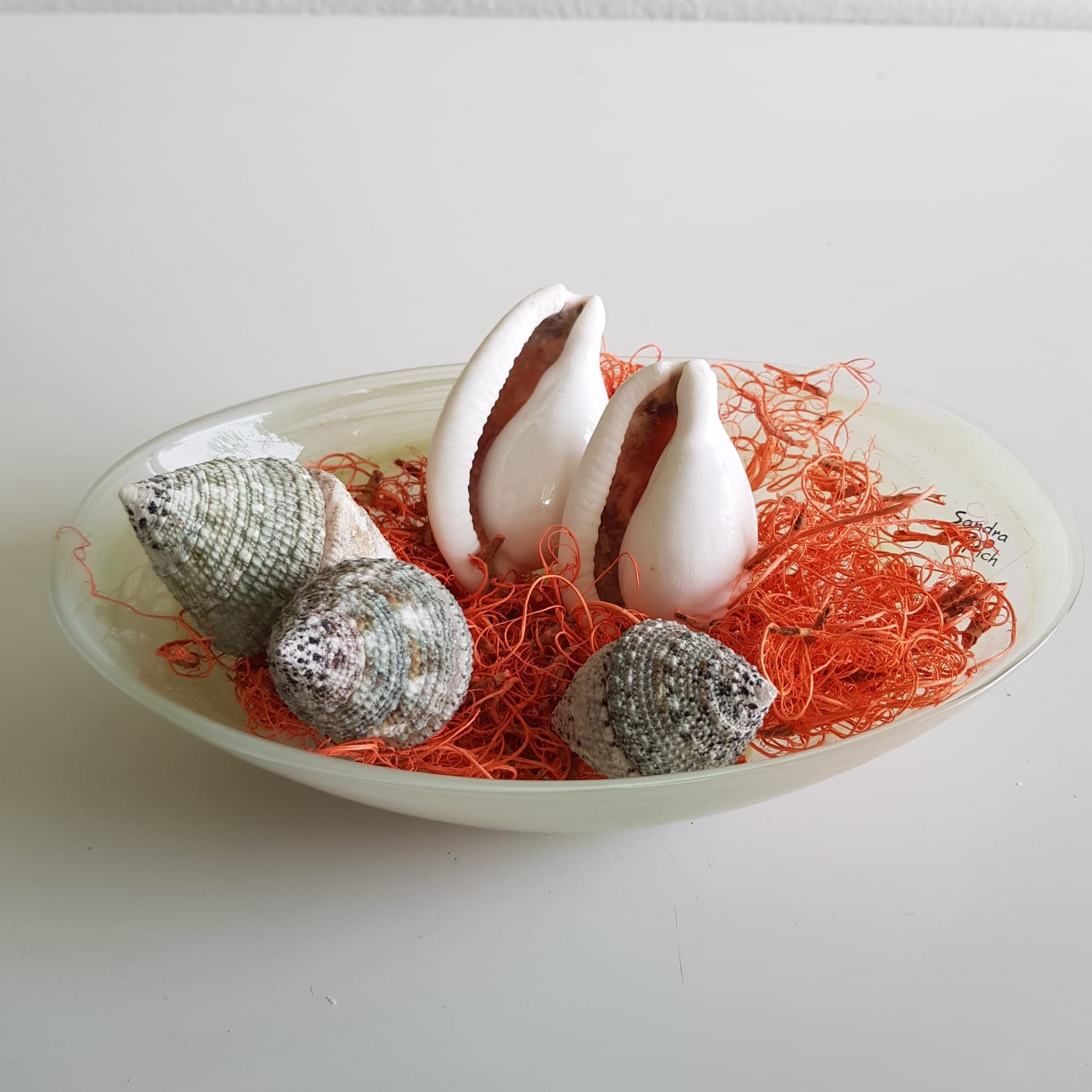 composizione pronta- onice piccola con conchiglie