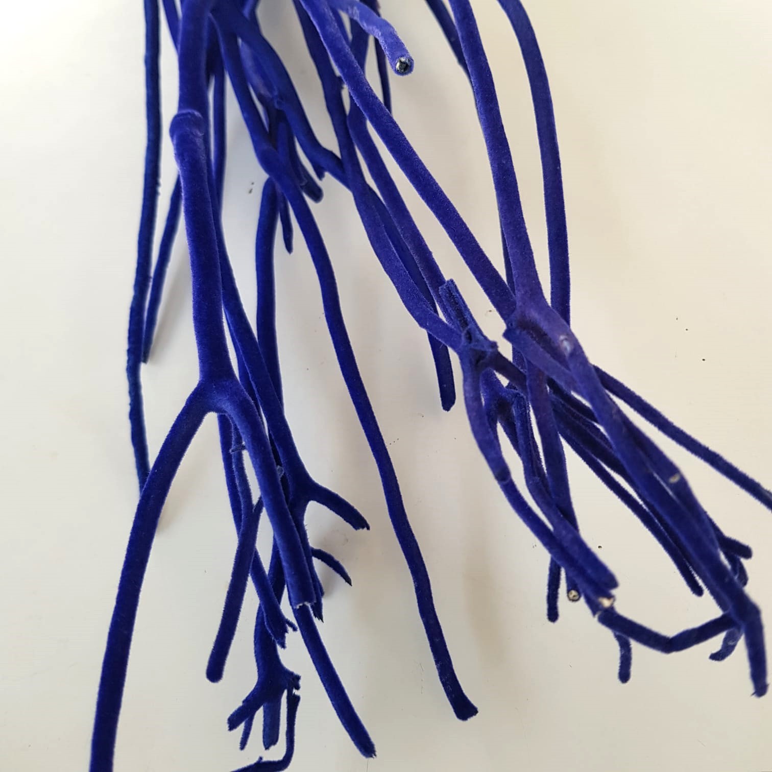 Mitsumata vellutata blu - 115cm - immagine 2