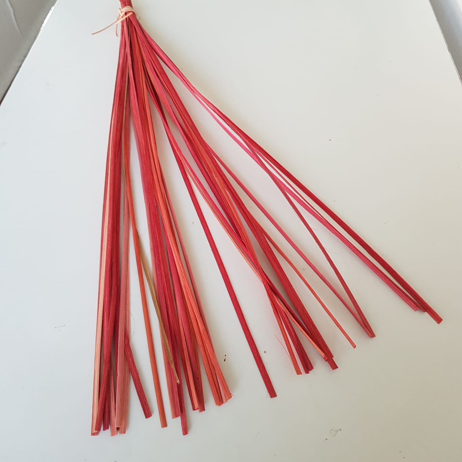Steli di rattan rosso decorativo – rami naturali per composizioni