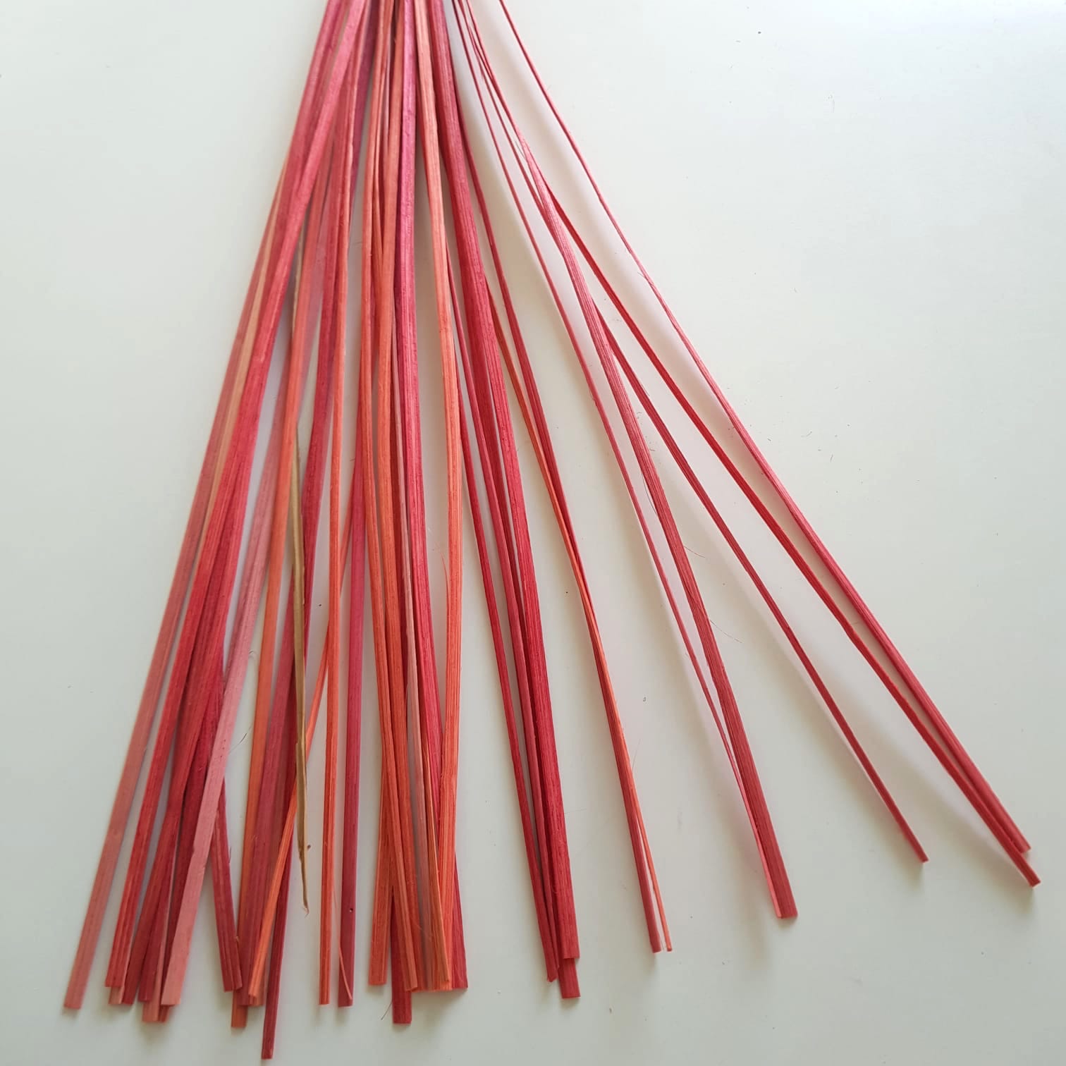 Steli di rattan rosso decorativo – rami naturali per composizioni